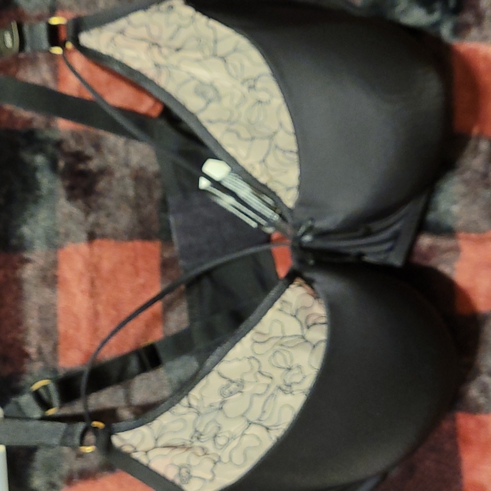 Ashley Graham Bra